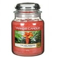 thumbnail image 1 of Yankee Candle The Last Paradise Scented Jar - 22oz, 1 of 2