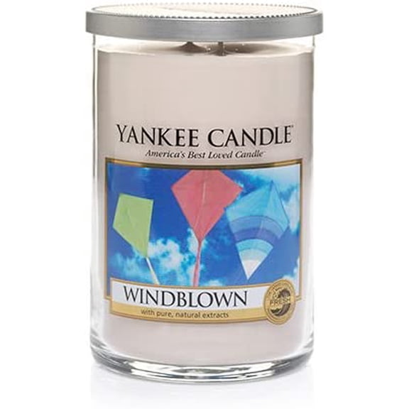 Yankee Candle WINDBLOWN Large 2-Wick 22oz Tumbler Candle
