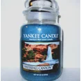 thumbnail image 1 of Yankee Candle Waterfall Canyon Large Classic Jar Candle, 22 Ounce, 1 of 3