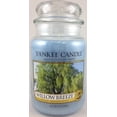 thumbnail image 1 of Yankee Candle Willow Breeze Large Classic Jar Candle, 1 of 3