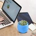 thumbnail image 1 of YaoZQ 2-Pack Blue Self Watering Succulent Pots, 3 inch Mini Resin Planter. Automatic Wicking Stone Pot for Cactus & Office Desk Decor, 1 of 9