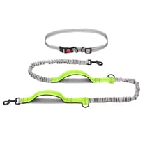 YaoZQ Hands Free Dog Leash for Running with Padded Handles, Reflective Bungee Waist Belt, Neon Green, 61-94.5 inch