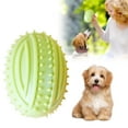 thumbnail image 1 of YaoZQ Puppy Teething Toy, Green Textured Rubber Ball, Squeaking Fetch Toy for Dental Health and Boredom Relief, 3.5 inch, 1 of 5