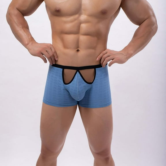 Yaoyar Men Casual Fashion Solid Briefs Boxer Breathable Mesh Ice Silk Front Opening Light Blue L