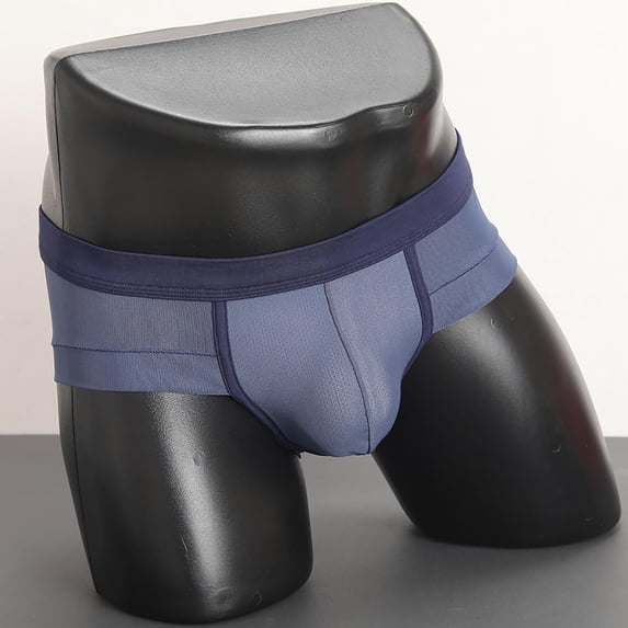 Yaoyar Mens Ice Silk Ultra Sheer Summer Briefs Transparent Underwear with Lightweight Comfort Fabric Breathable Design Briefs,Navy,2XL