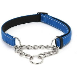 Mighty Paw Martingale Nylon Training Collar. Our Trainer Approved Limited Slip Collar. Modified Cinch Collar for Controlled Force for Optimal Training. Reflective Stitching to Keep Your Dog Safe Walma...