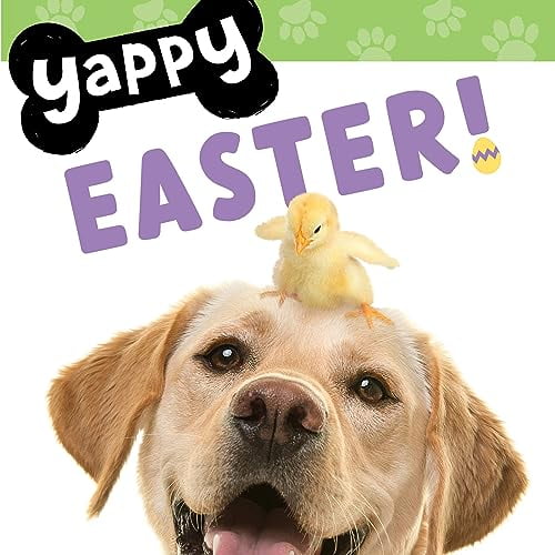 Pre-Owned Yappy Days! Yappy Easter!, (Board Book)
