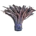 Yard 810" Silver Gray Strung Natural Bleach & Dyed Rooster Coque