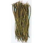 Yard Long Bean - Dark Green - 6 g Packet 30 Seeds - Non-GMO, Heirloom - Asian Garden Vegetable