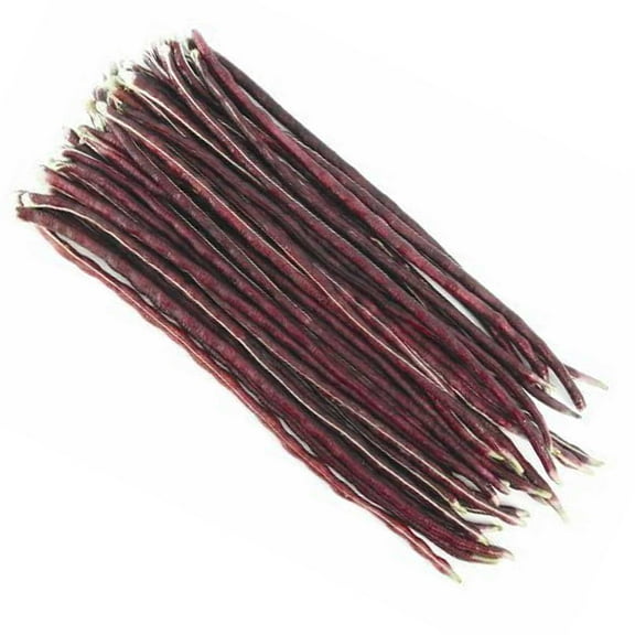 Yard Long Bean - Purple Mart Tsu In - 7 g Packet ~30 Seeds - Non-GMO, Heirloom - Asian Garden Vegetable