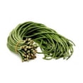 thumbnail image 1 of Yard Long Bean Seeds – Alo (Light Green) for Planting - 20 Seeds, 1 of 1