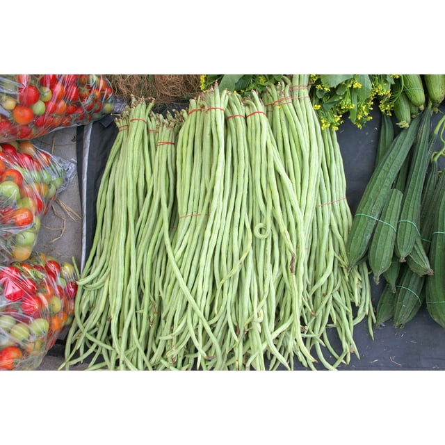 5 Colors Mix Yard Long Bean Multi Variety Vegetable Heirloom