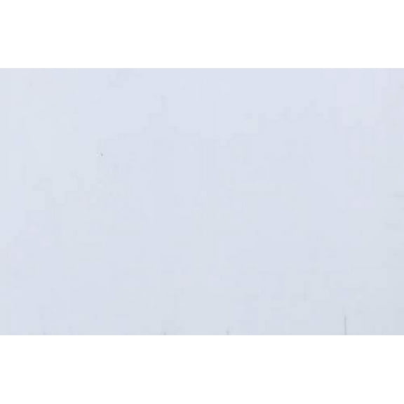 Yard Signs Signs Board Pack of 4 Large Blank Sign Panel White 24" x 36" Corrugated Plastic 4mm Ship Same Day$$Garden & Patio