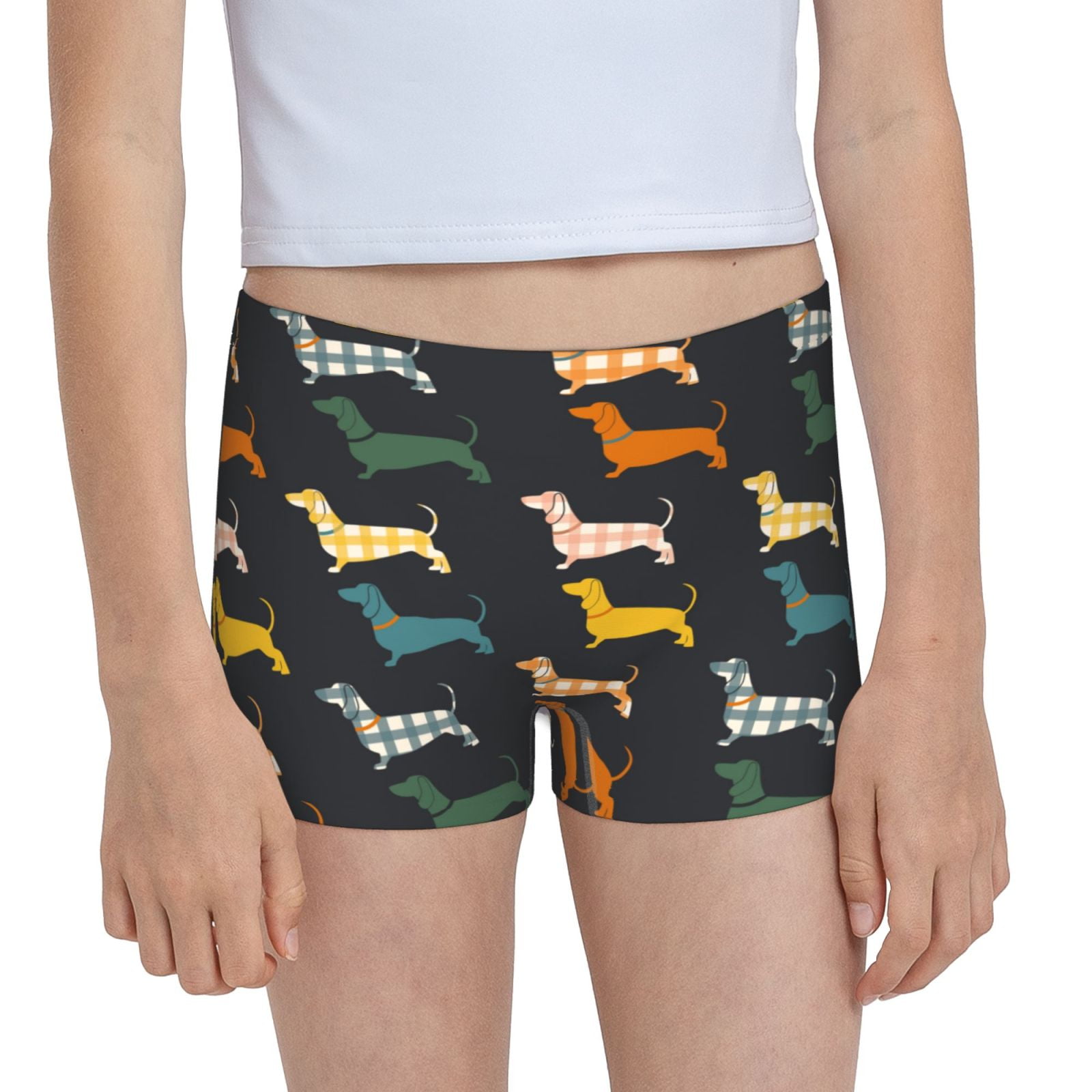 Easygdp Plaid Dachshund Girls Hipster Cotton Underwear Little Girls