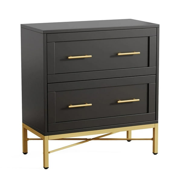 Yardi Yarda 2-Drawer File Cabinet, Lateral Storage Cabinet Printer Stand, Black & Gold