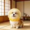 thumbnail image 1 of Yardvibe Anti Eating Cover for Small Dogs & Cats, Dog Head Protector, Cat Face Guard Head Net, Mesh Snood Prevent Foxtails Thorns Sticks Rocks (Yellow), 1 of 5