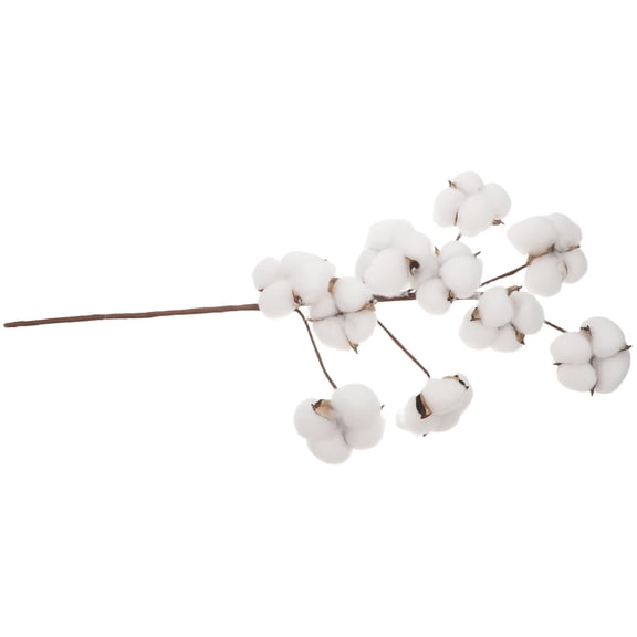 Yardwe 10 Heads Dried Cotton Picks White Simulation Flowers for Farmhouse Decor and Wedding