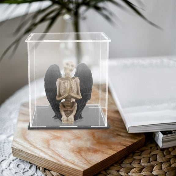 Yardwe Acrylic Model Display Box Transparent Assorted Color for Showcasing Collectibles