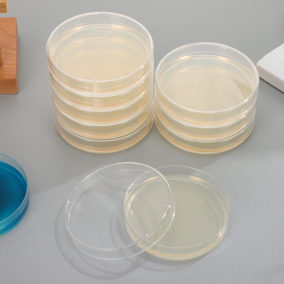 Yardwe 20Pcs Laboratory Agar Plates with Pre Poured Agar for Experiment Practical and Convenient
