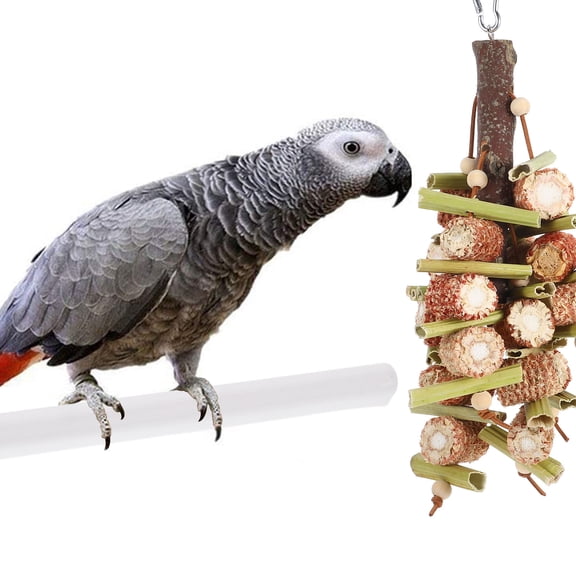 Yardwe 20Pcs White Plastic Parrot Perch Stand Cage Addition for Activity and Exercise