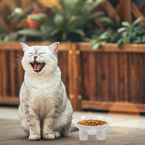 Yardwe Simple Elegant White Elevated Cat Bowl Raised Design Durable and Stable