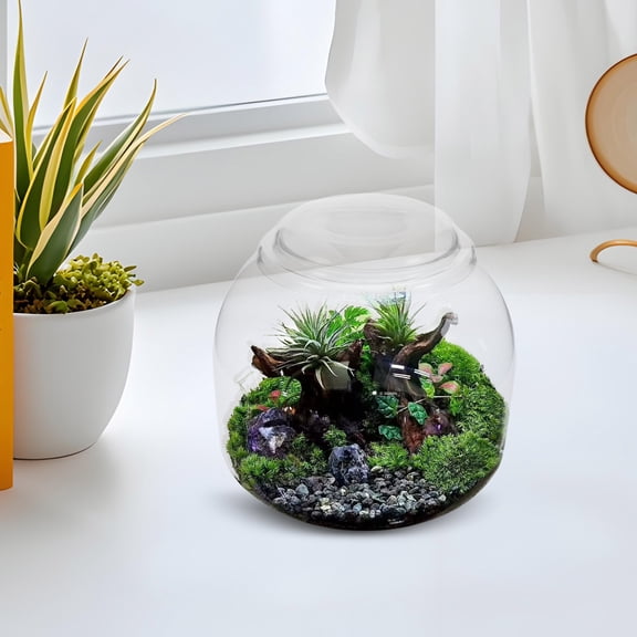 Yardwe Transparent Glass Terrarium Container for Micro Landscape Ecological Bottle with Lid