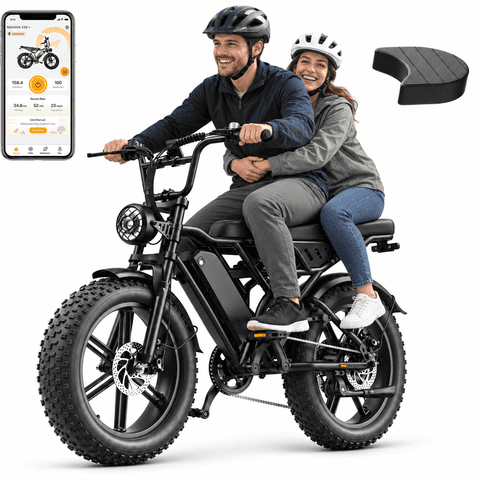 YareYi Electric Bike for Adults, 750W Peak E-Mountain Bicycle Class 3, 20" Fat Tire E-Bike with Speedometer, 48V 15Ah Removable Battery UL2849