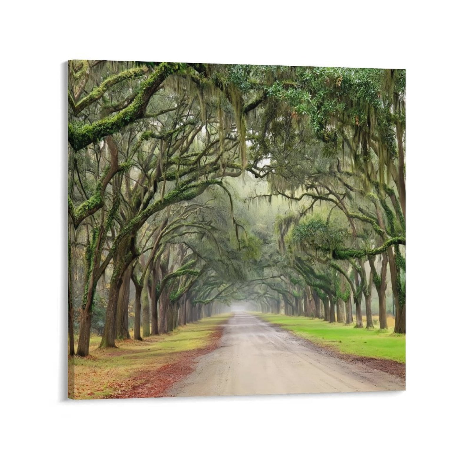 YarnArtistry Landscape Artwork Pictures Canvas Prints: Spanish Moss ...