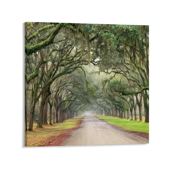 YarnArtistry Landscape Artwork Pictures Canvas Prints: Spanish Moss Covered Green Oak Trees on Forest Path in Fall Photographic Image for Wall Art