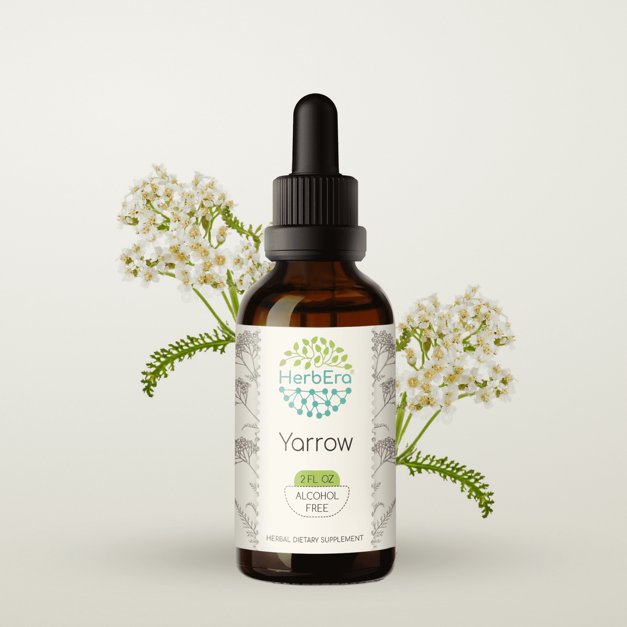 Yarrow AlcoholFREE Herbal Extract Tincture, SuperConcentrated Organic