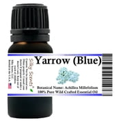 Yarrow Wild Crafted Essential Oil 100% Pure and Natural 15 ml (1/2 oz)