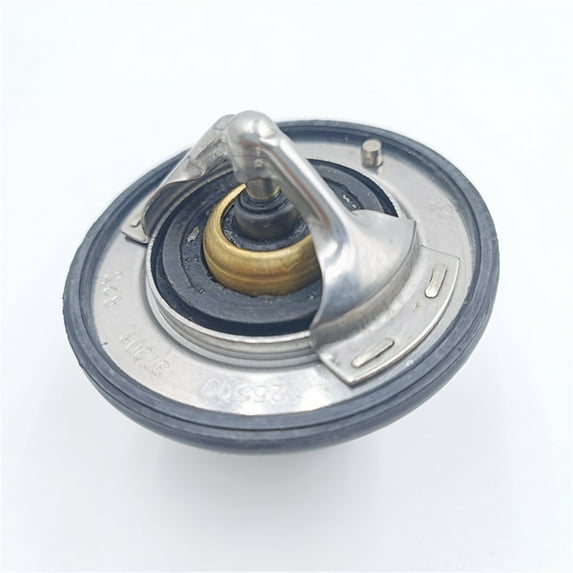 Yassdwbn Thermostat 2550037200 Fits For Hyundai Kia Santa Sedona Tiburon Amanti 2.7L 3.5L