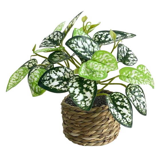 Yatlte Small Fake Plants, Artificial Plants in Handwoven Seagrass Baskets | Natural Woven Texture, Shelf, Desk & Table Decor, Realistic Faux Greenery, Farmhouse & Boho Decor