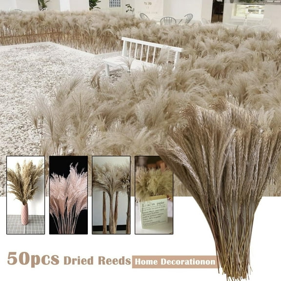Yawots Natural Pampas Grass Natural Dried Flowers Brown Bouquet 19.6 inch Pompous Grass Bouquet for Vase Wedding Decoration and Home Arrangement
