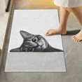 thumbnail image 1 of Yayeee Bath Rug for Bathroom Floor Non Slip Rectangle Fluffy Soft Absorbent Mat, 16"x24", Black Cute Cat, 1 of 7