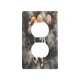thumbnail image 1 of Yayeee Duplex Wall Plate 1-Gang 4.5"x2.7" Home Receptacle Light Switch Decorative Outlet Cover, Watercolor Space, 1 of 7