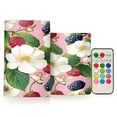 thumbnail image 1 of Yayeee Flameless Candles with Remote Flickering Battery Operated Multi Color Changing, Pink Raspberries, 1 of 7