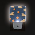 thumbnail image 1 of Yayeee LED Plug in Night Light for The Home with Auto Dusk to Dawn Light Sensors, 2 Pack, Blue Capybaras, 1 of 6