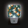 thumbnail image 1 of Yayeee LED Night Light for The Home Plug in With Light Sensors 2 Pack, Orange Fruit, 1 of 6
