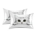 thumbnail image 1 of Yayeee Pillowcase King Size Set of 2 Satin Wrinkle Resistant Pillow Case, White Cat, 1 of 7