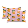 thumbnail image 1 of Yayeee Pillowcase Queen Size Set of 2 Satin Wrinkle Resistant Pillow Case, Cartoon Oranges, 1 of 8