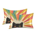 thumbnail image 1 of Yayeee Pillowcase Queen Size Set of 2 Satin Wrinkle Resistant Pillow Case, Colorful Black Cat, 1 of 7