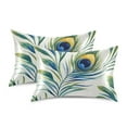 thumbnail image 1 of Yayeee Pillowcase Standard Size Set of 2 Satin Wrinkle Resistant Pillow Case, Peacock Feather, 1 of 7