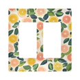 thumbnail image 1 of Yayeee Rocker Switch Wall Plate 2-Gang 4.7"x4.6" Home Decorative Outlet Cover, Citrus Fruits, 1 of 6
