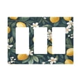 thumbnail image 1 of Yayeee Rocker Switch Wall Plate 3-Gang 6.5"x4.6" Home Decorative Outlet Cover, Floral Lemons, 1 of 6