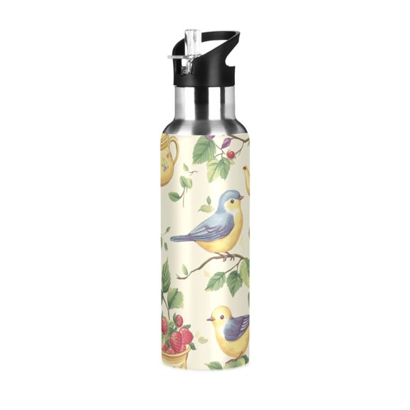 Yayeee 20oz Insulated Water Bottle Double Wall Stainless Steel with Flip Straw Lid, Birds with Strawberries