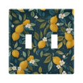 thumbnail image 1 of Yayeee Toggle Light Switch Wall Plate 2-Gang 4.56"x4.48" Decorative Outlet Cover, Blue Lemons, 1 of 7