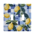 thumbnail image 1 of Yayeee Toggle Light Switch Wall Plate 2-Gang 4.56"x4.48" Decorative Outlet Cover, Cartoon Lemon Leaves, 1 of 7