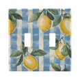 thumbnail image 1 of Yayeee Toggle Light Switch Wall Plate 2-Gang 4.56"x4.48" Decorative Outlet Cover, Retro Lemon Leaves, 1 of 7