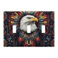 thumbnail image 1 of Yayeee Toggle Light Switch Wall Plate 3-Gang 6.37"x4.48" Decorative Outlet Cover, Brown Abstract Eagle, 1 of 7